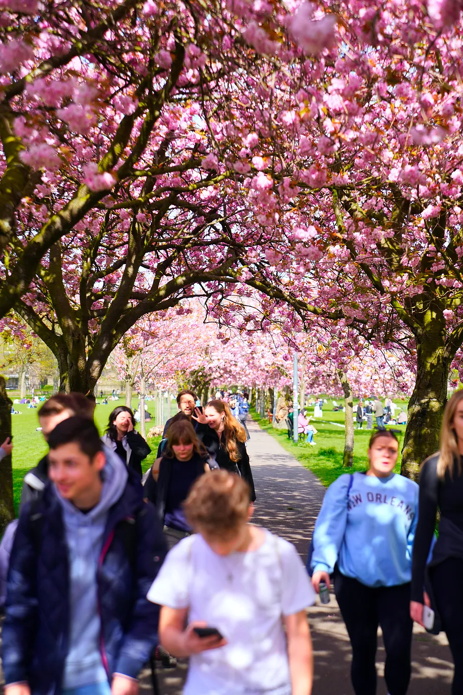 A pink canopy above a crowd of people.