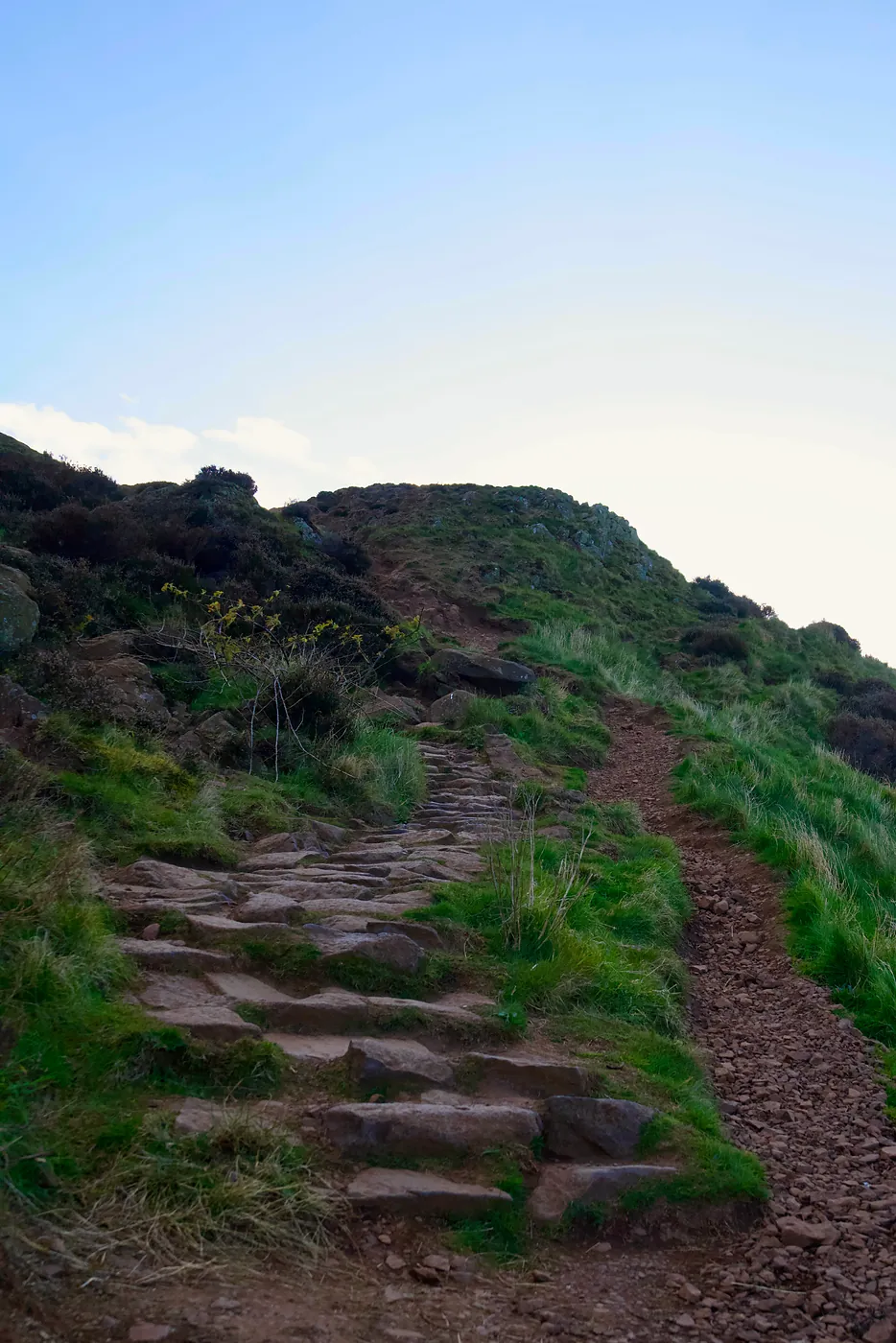 An ancient path leading to the top.