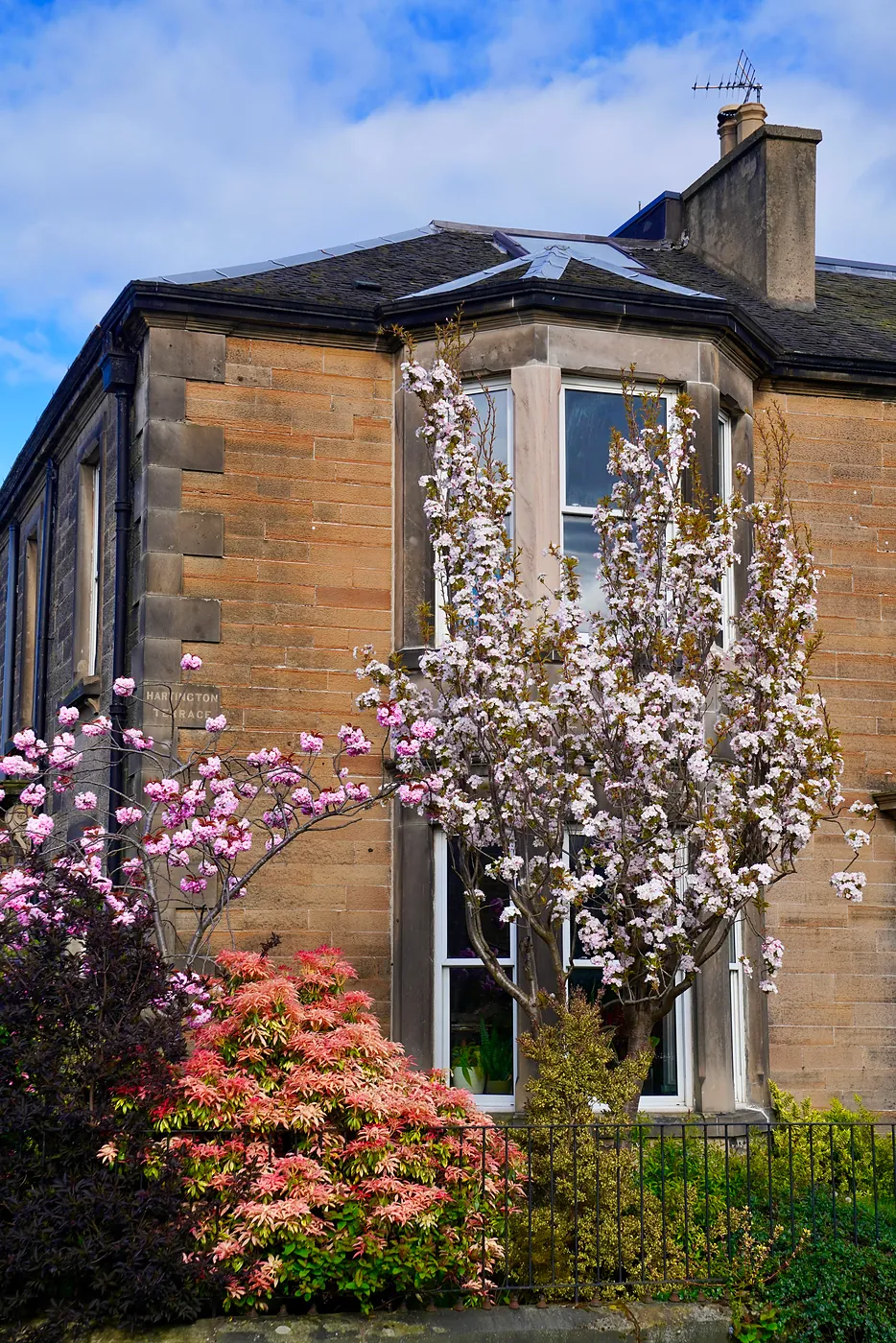 The side of a house brightened by flowers.