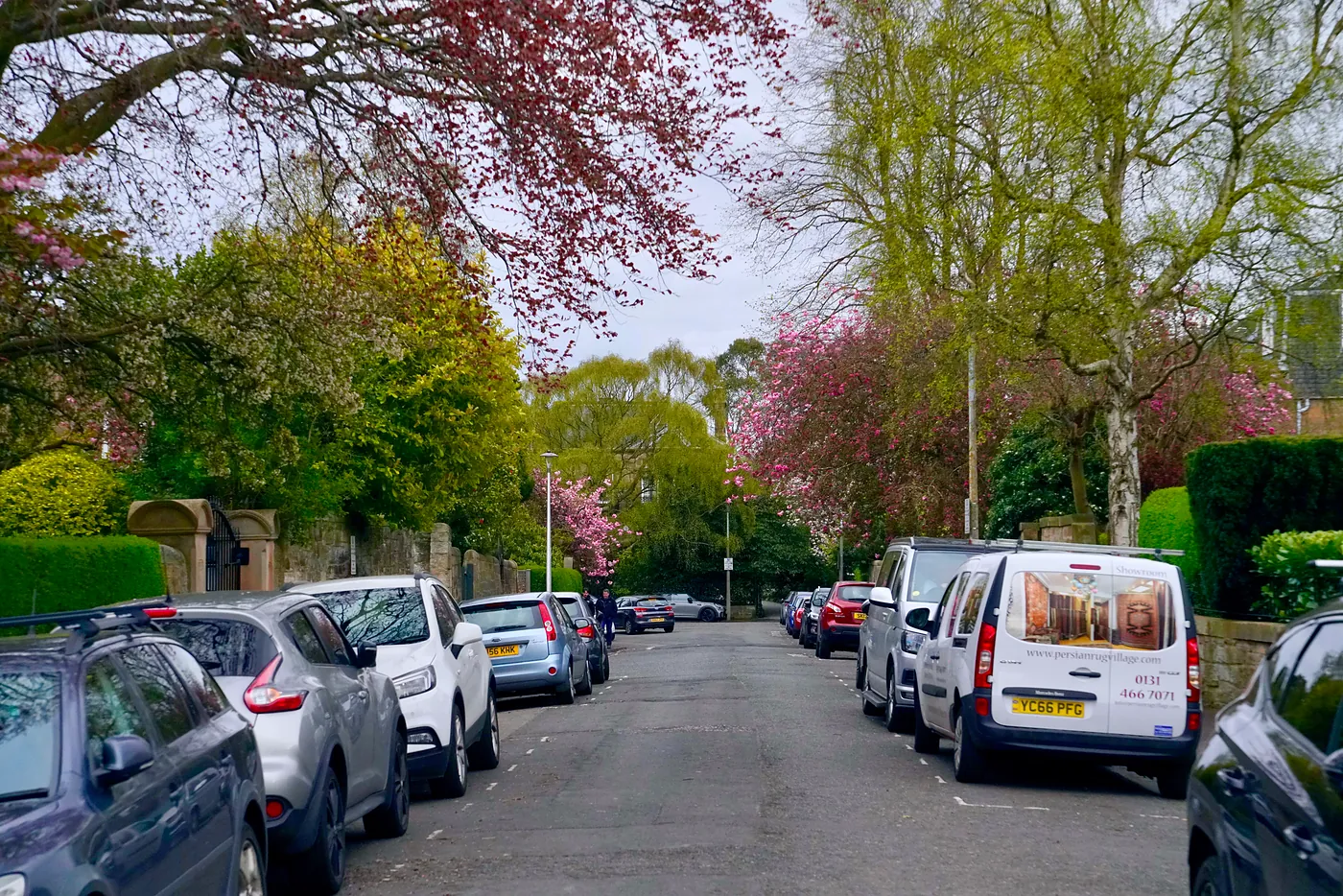 A road heading away from Morningside's center. Many old mansions covered with colorful flowers are dotted throughout Morningside.