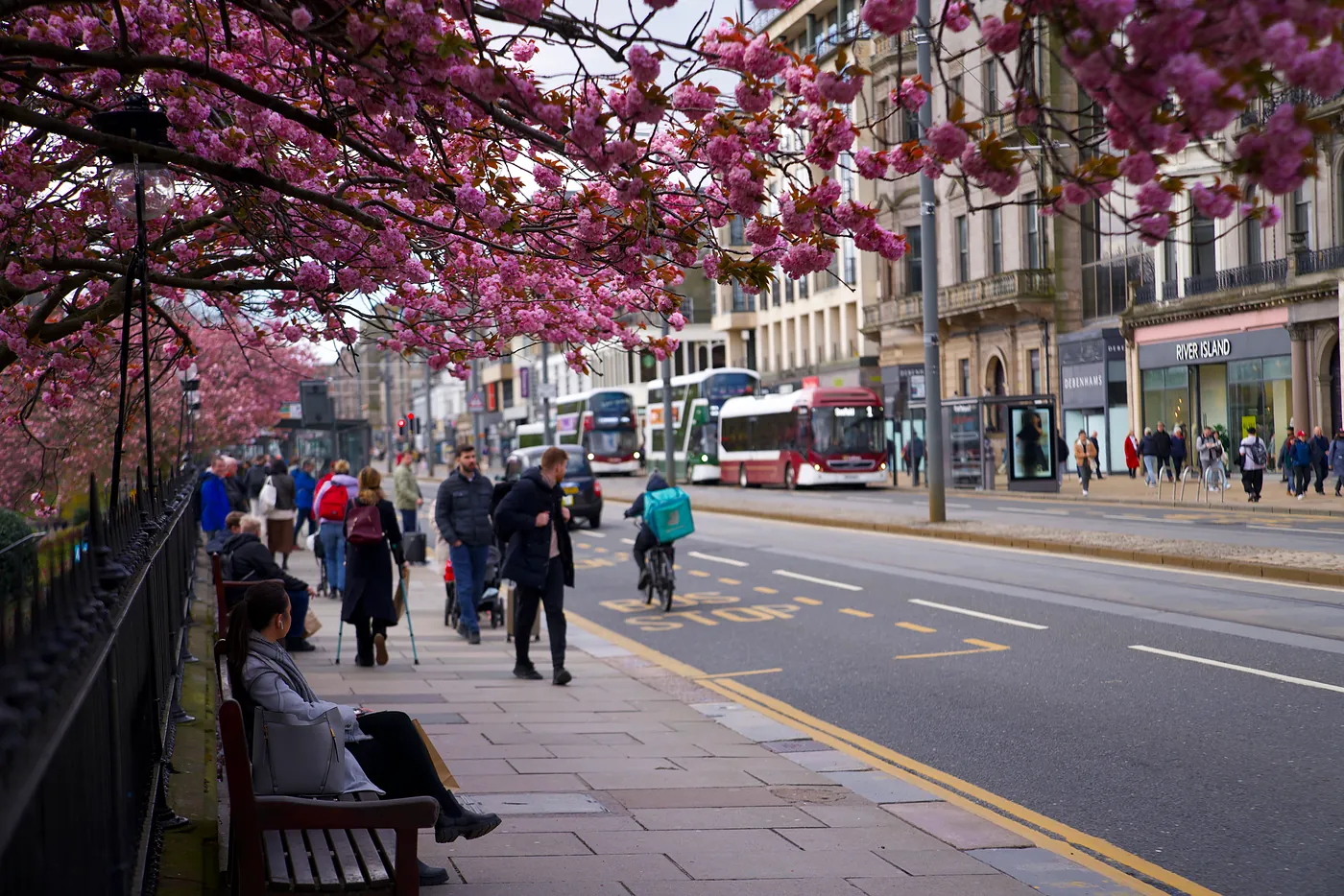 A woman sitting under a cherry blossum tree.