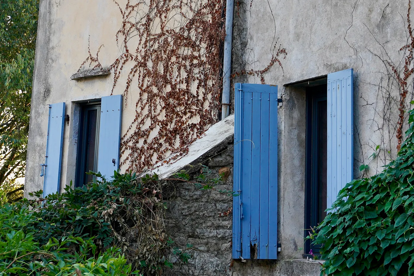 The side of a disused building slowly being reclaimed by nature.