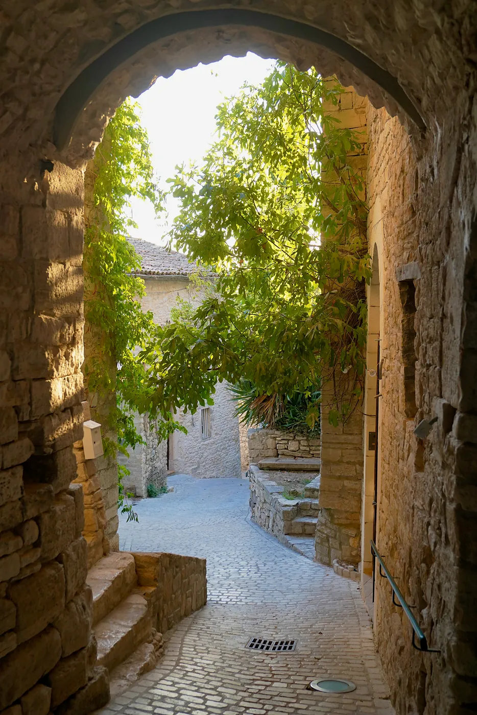 A tall corridor leading to a verdant alleyway.