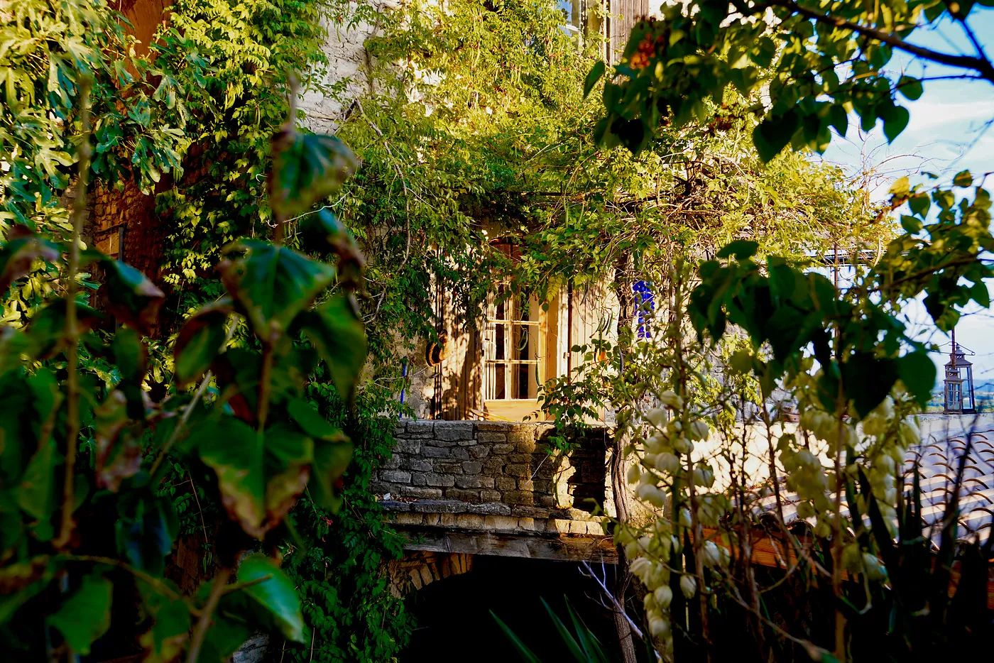 Thick vines, tall branches, and many other green wonders bursting into life along a residential terrace above the old arch.