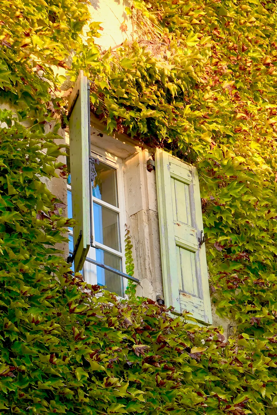 The window of a residential building on l'Grand Rue peeking out from a blooming growth covering its ancient wall.