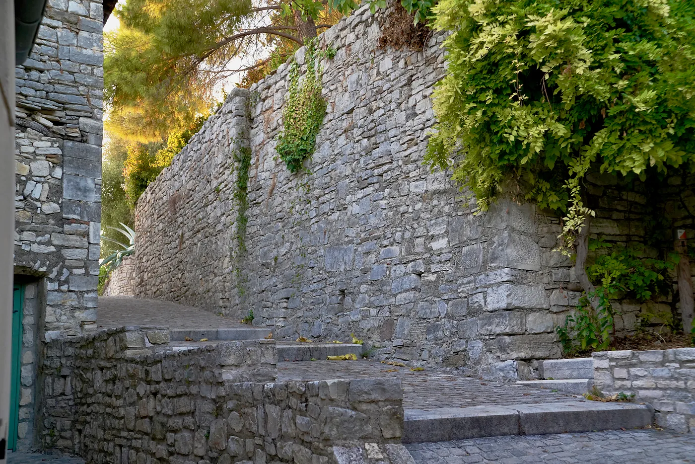An old stairway leading up toward the top of Vézénobres' hill. Many of these alleyways and passages don't lead to connected passages, but to steep hillsides and overgrown areas.