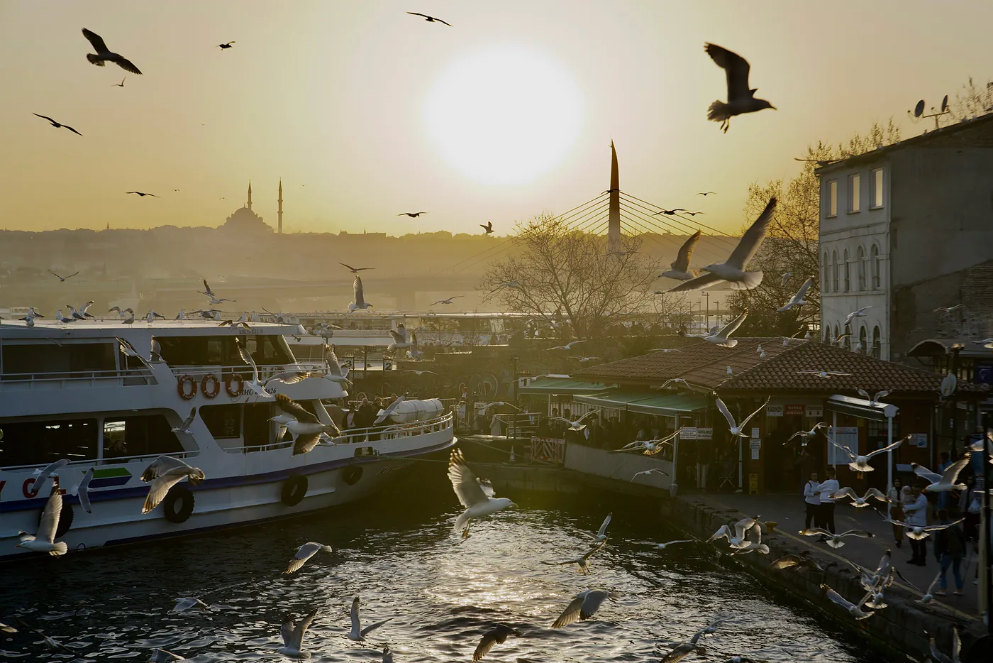 A flock of seagulls circling around a fish market at the north end of the Golden Horn at sunset.