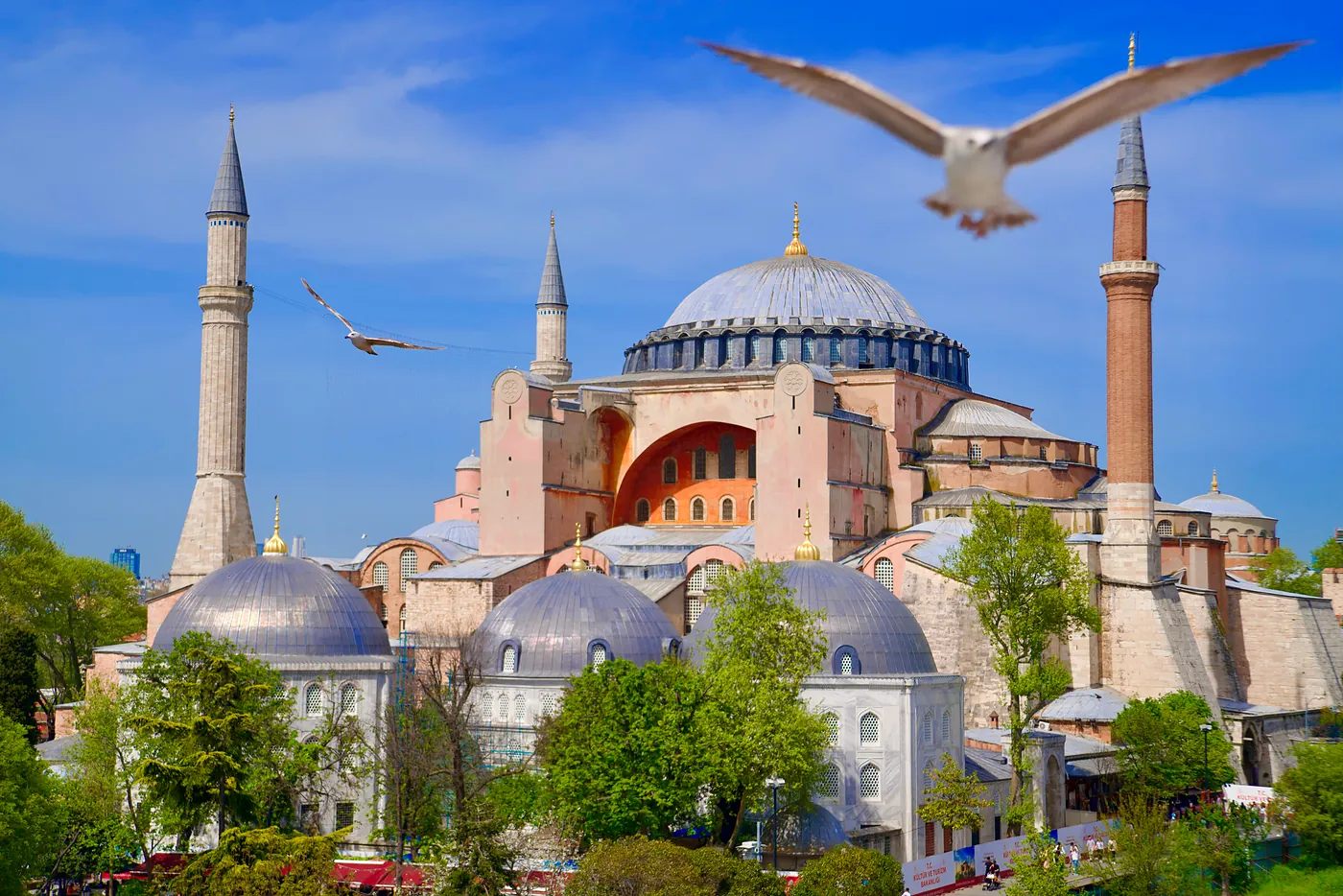 Two seagulls flying in front of the Hagia Sophia.