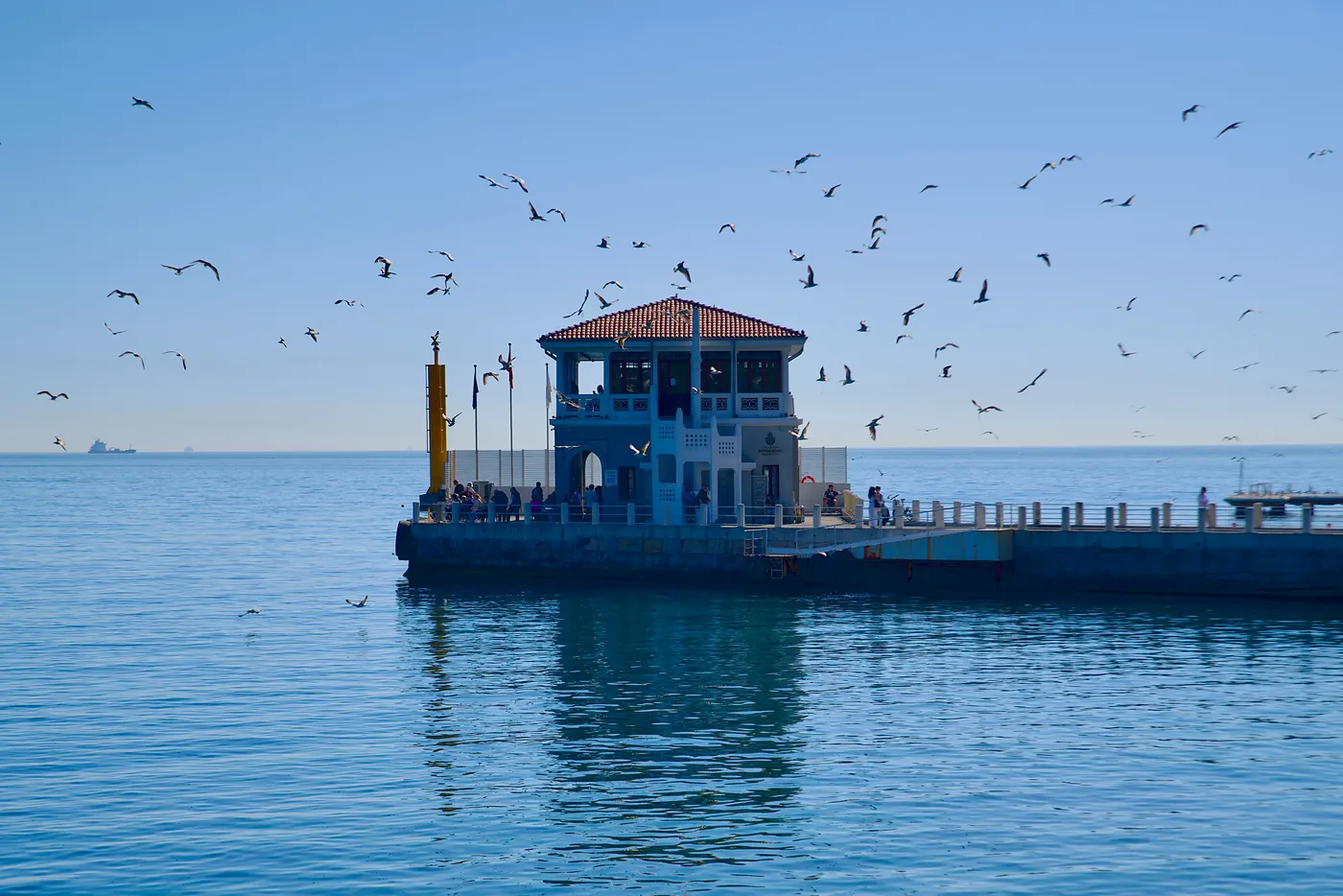 Moda's ferry terminal being circled by seagulls.